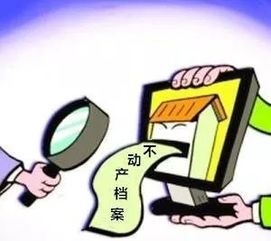 新区不动产登记服务再升级 自助查询与专业代理双轨并行