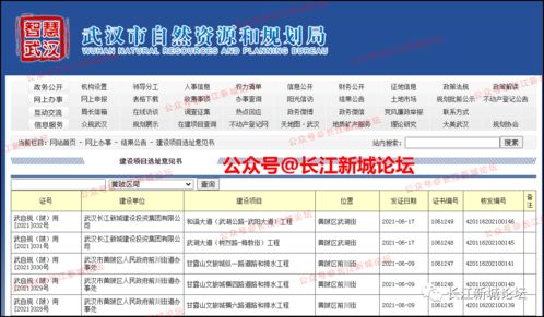 长江新区武湖两大动脉即将启动建设，不动产登记代理服务迎发展新机